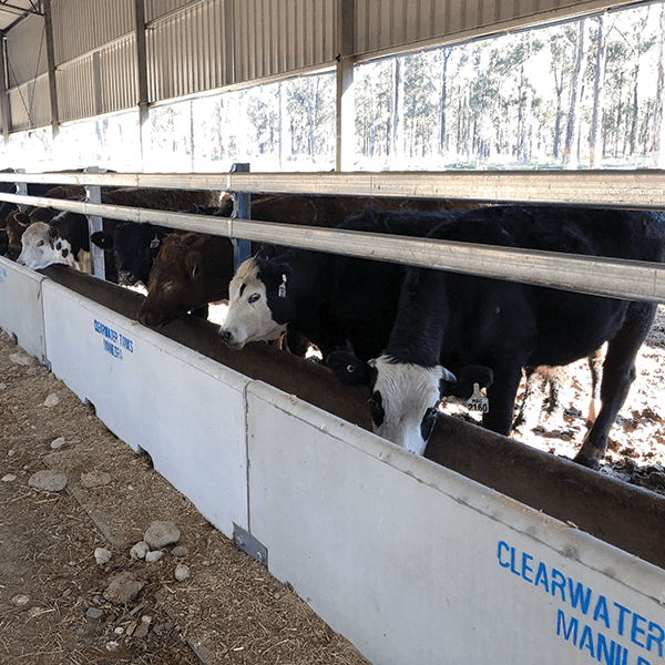 Cattle Feed Trough - Image 3