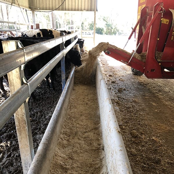 Cattle Feed Trough - Image 2